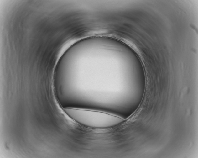 X0000095911440200801110817