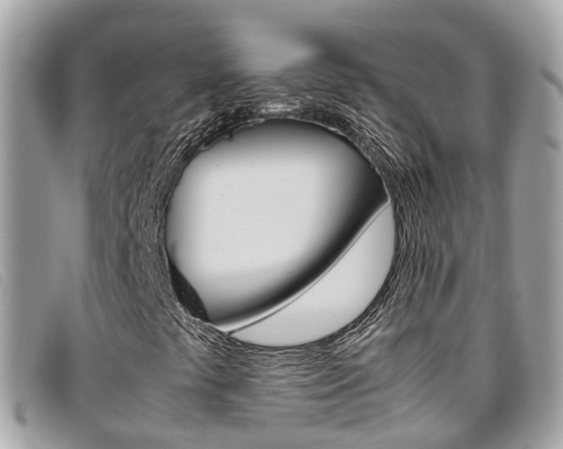 X0000095911441200801110817