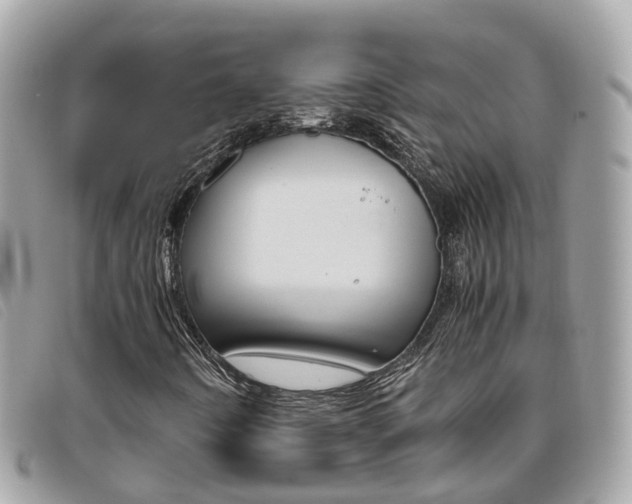 X0000095911442200801110817