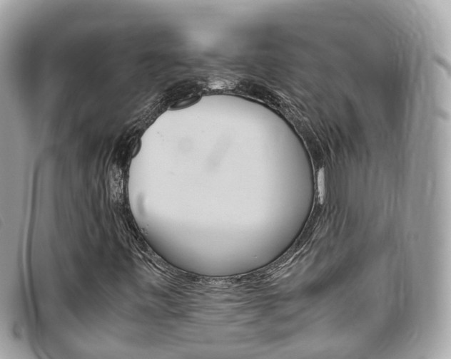 X0000095911443200801110817