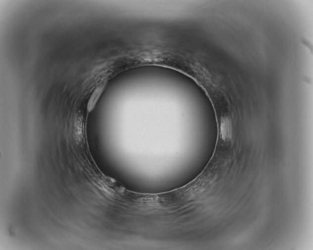 X0000095911444200801110817