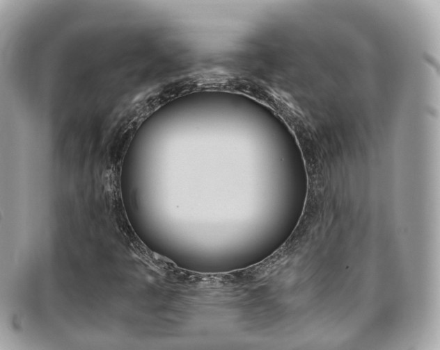 X0000095911445200801110816