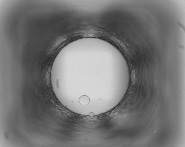 X0000095911446200801110816