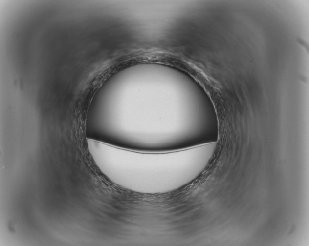 X0000095911447200801110816