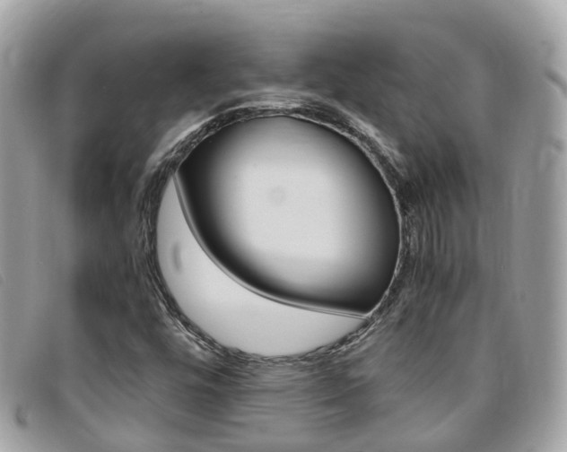 X0000095911448200801110816