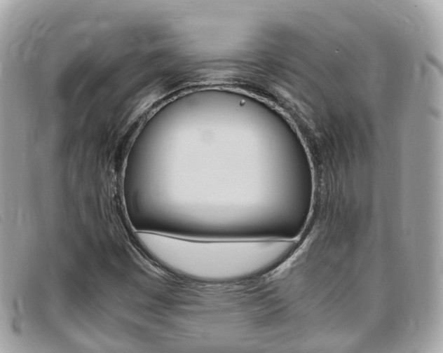 X0000095911449200801110816