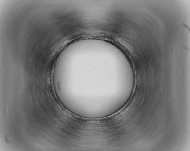 X0000095911451200801110816