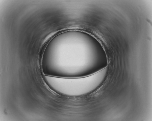 X0000095911452200801110816