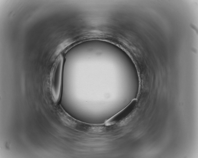 X0000095911453200801110816