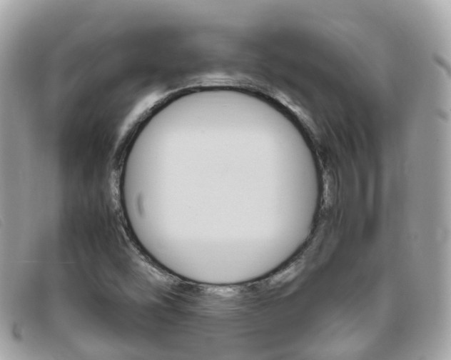 X0000095911454200801110816
