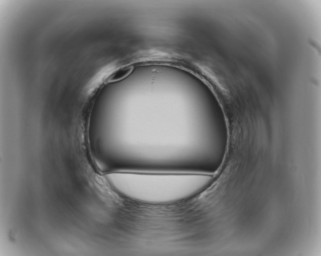 X0000095911455200801110816