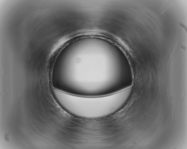 X0000095911456200801110816