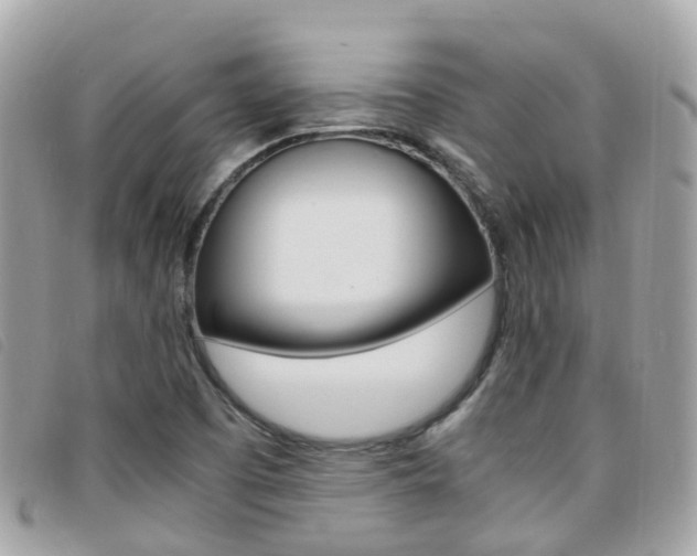 X0000095911457200801110816