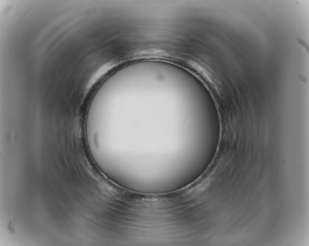 X0000095911458200801110816