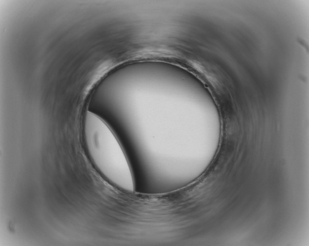 X0000095911459200801110816