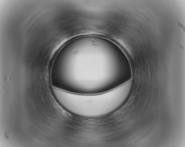 X0000095911460200801110816