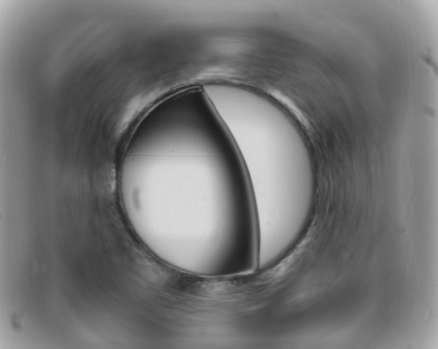 X0000095911461200801110816