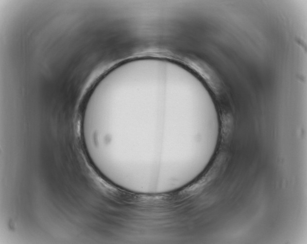 X0000095911462200801110816