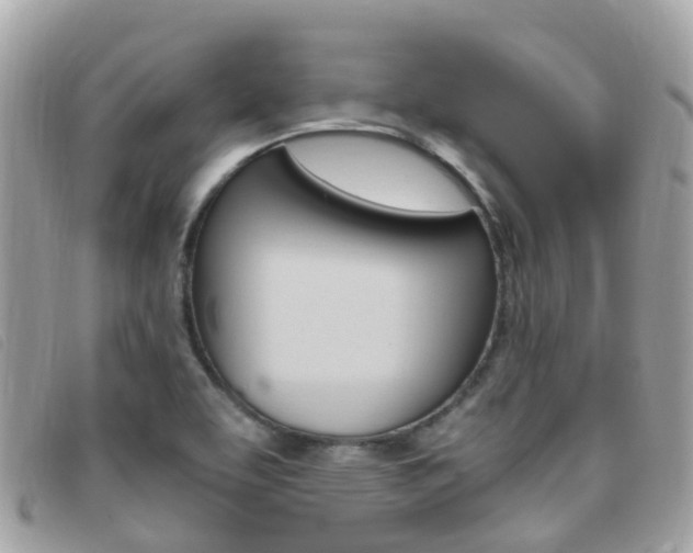 X0000095911463200801110816