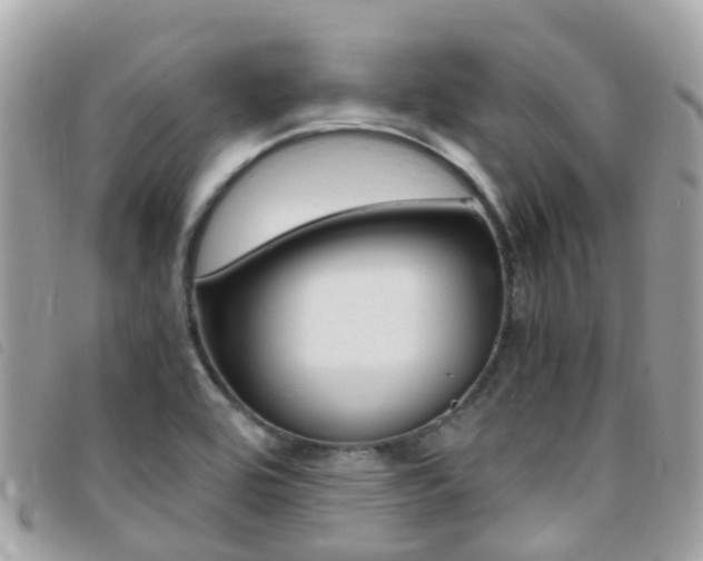 X0000095911464200801110816