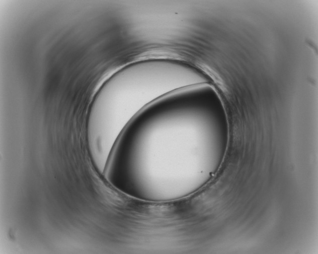 X0000095911465200801110816