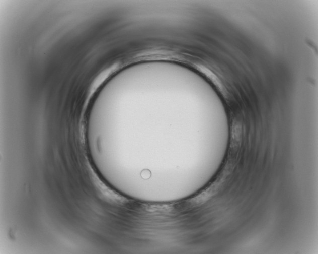 X0000095911466200801110816