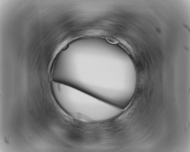 X0000095911467200801110816