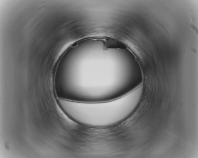 X0000095911468200801110816
