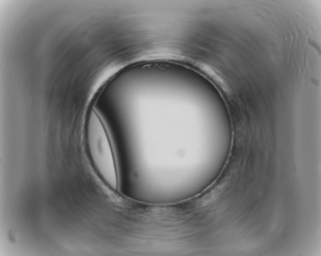 X0000095911469200801110816