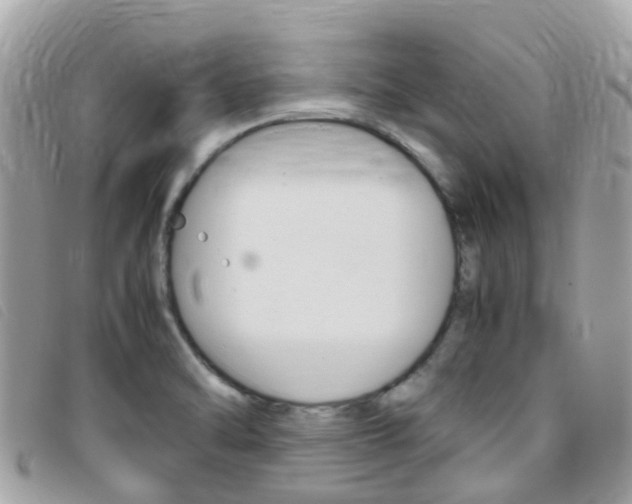 X0000095911470200801110816