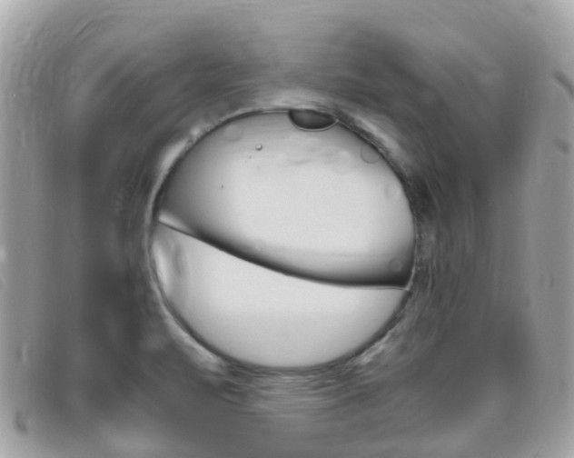 X0000095911471200801110816