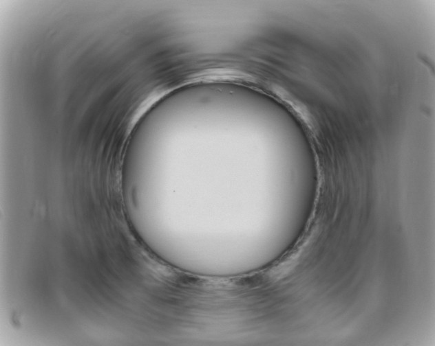 X0000095911473200801110816