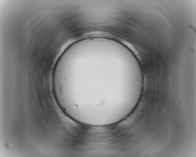 X0000095911474200801110816