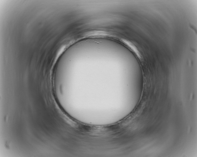 X0000095911475200801110816