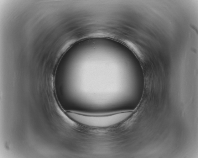 X0000095911476200801110816