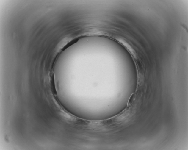 X0000095911477200801110816