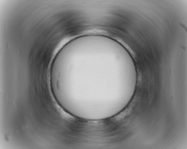 X0000095911478200801110816