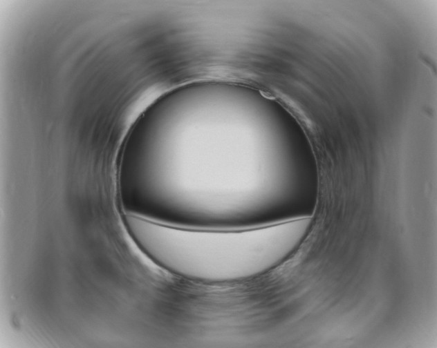 X0000095911479200801110816
