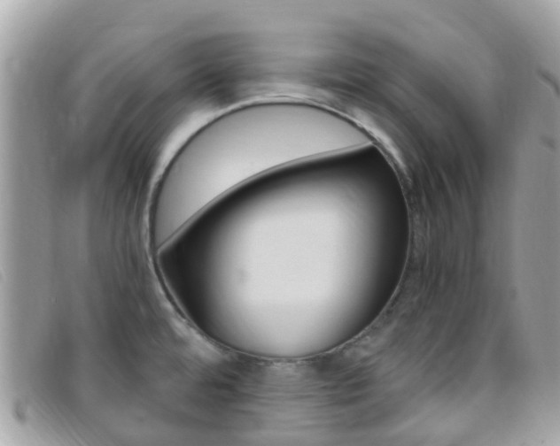 X0000095911480200801110816