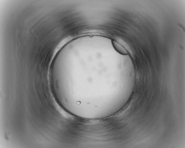 X0000095911482200801110816