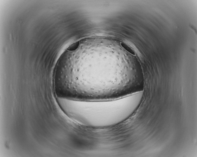 X0000095911483200801110816
