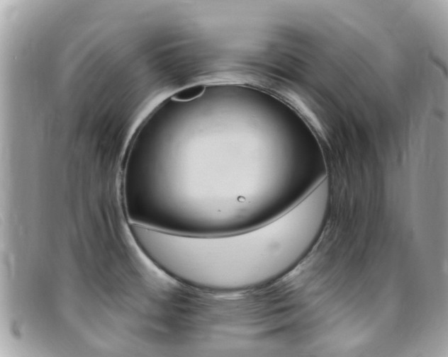 X0000095911484200801110816