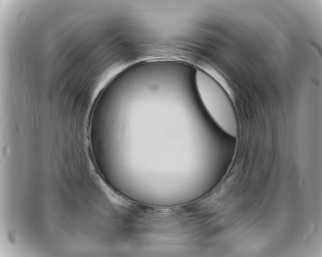 X0000095911485200801110816