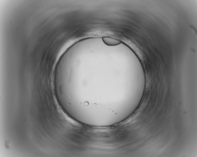 X0000095911486200801110816