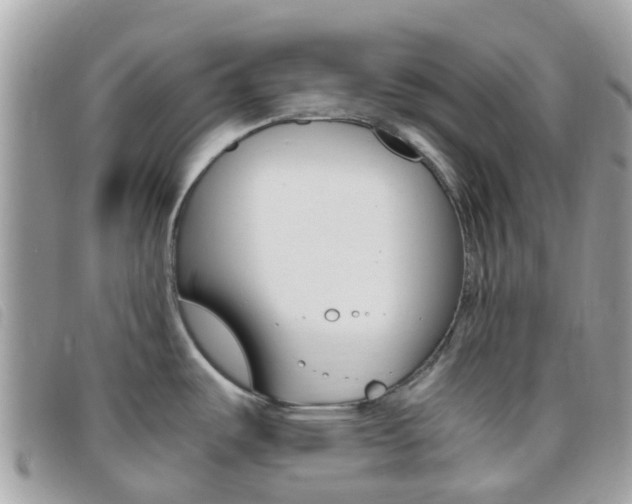 X0000095911487200801110816