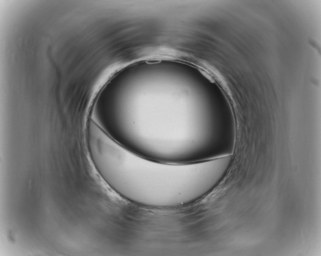 X0000095911488200801110816