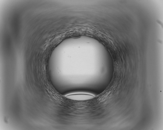 X0000095911489200801110815
