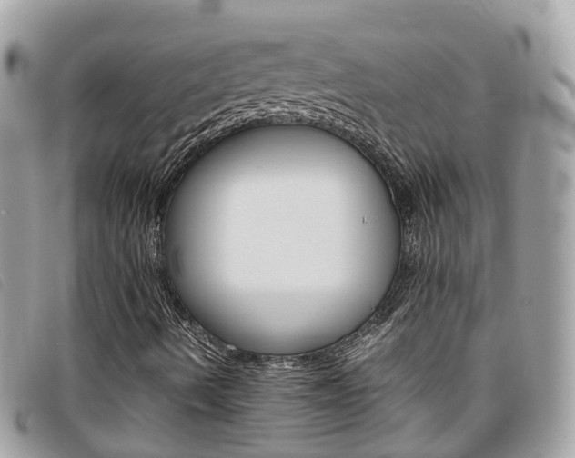 X0000095911490200801110815