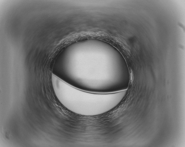 X0000095911492200801110815