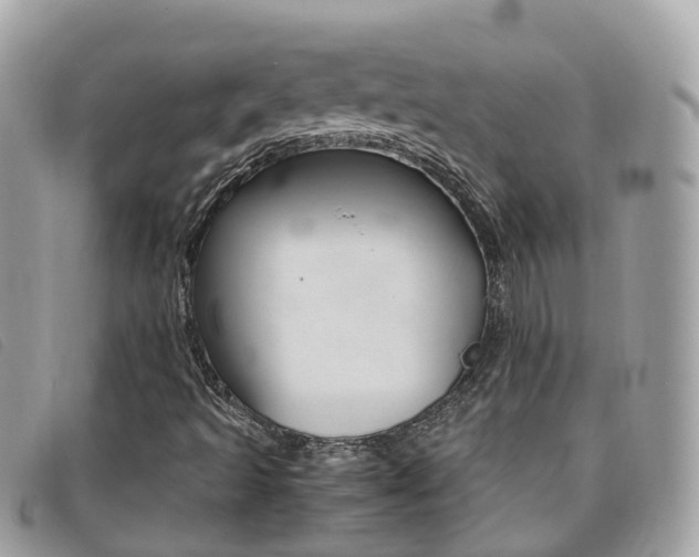 X0000095911493200801110815